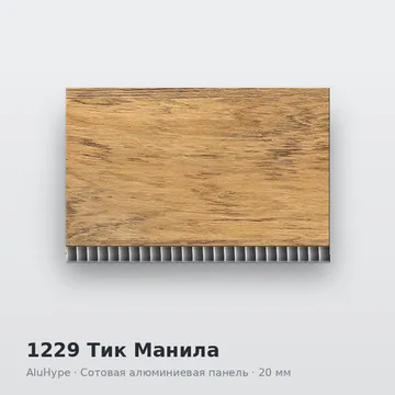 1229 Тик Манила