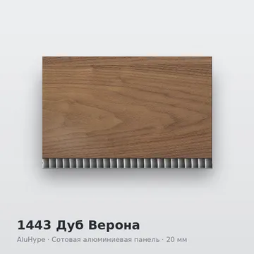 1443 Дуб Верона
