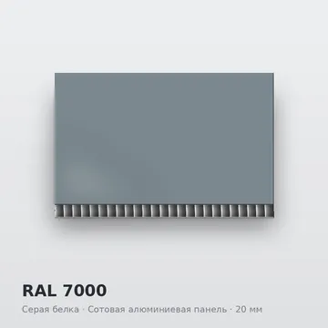 RAL 7000 Серая белка