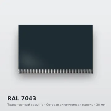 RAL 7043 Транспортный серый b
